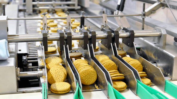 Food Processing Equipment